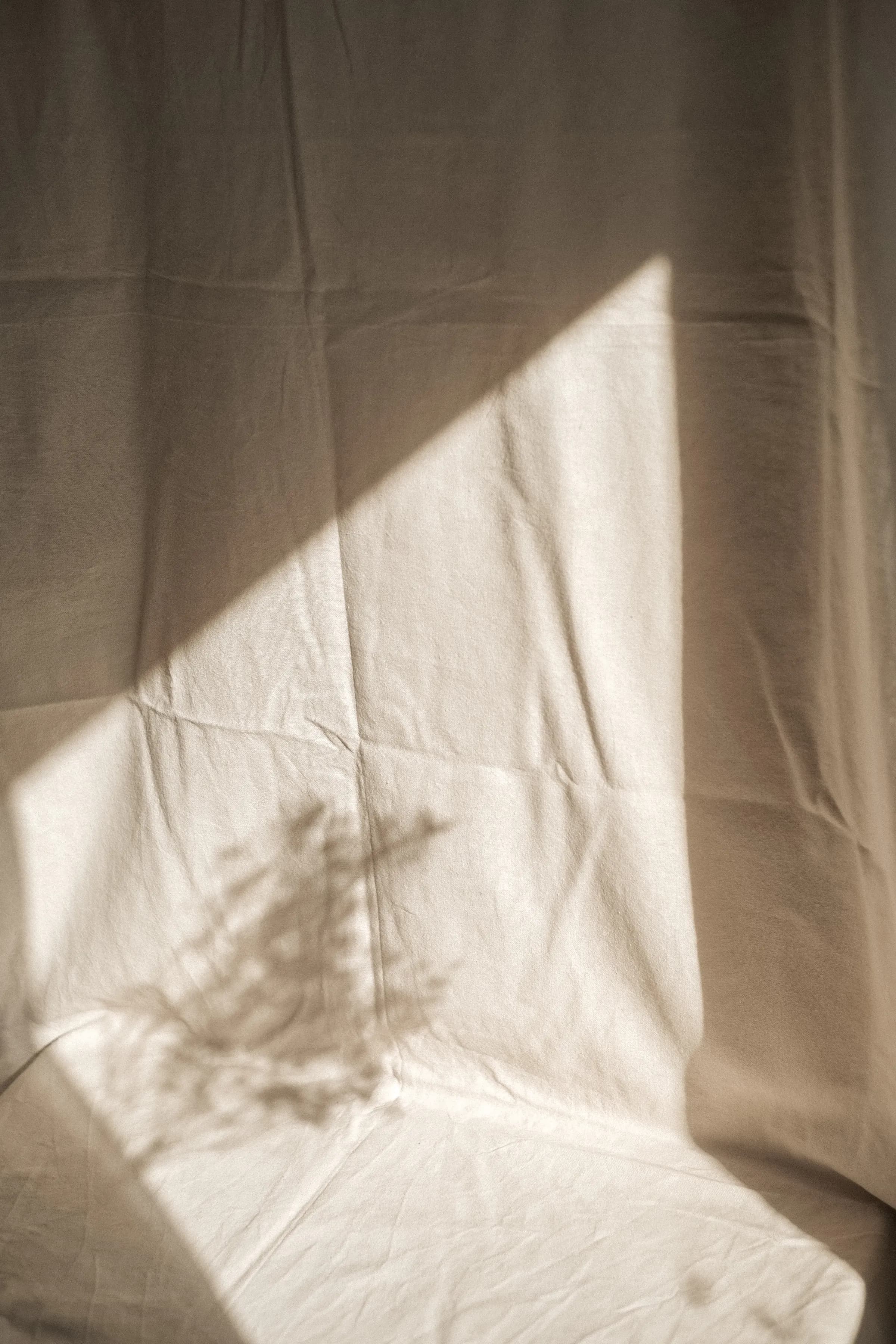 Ombre de feuillage sur un drap de lin